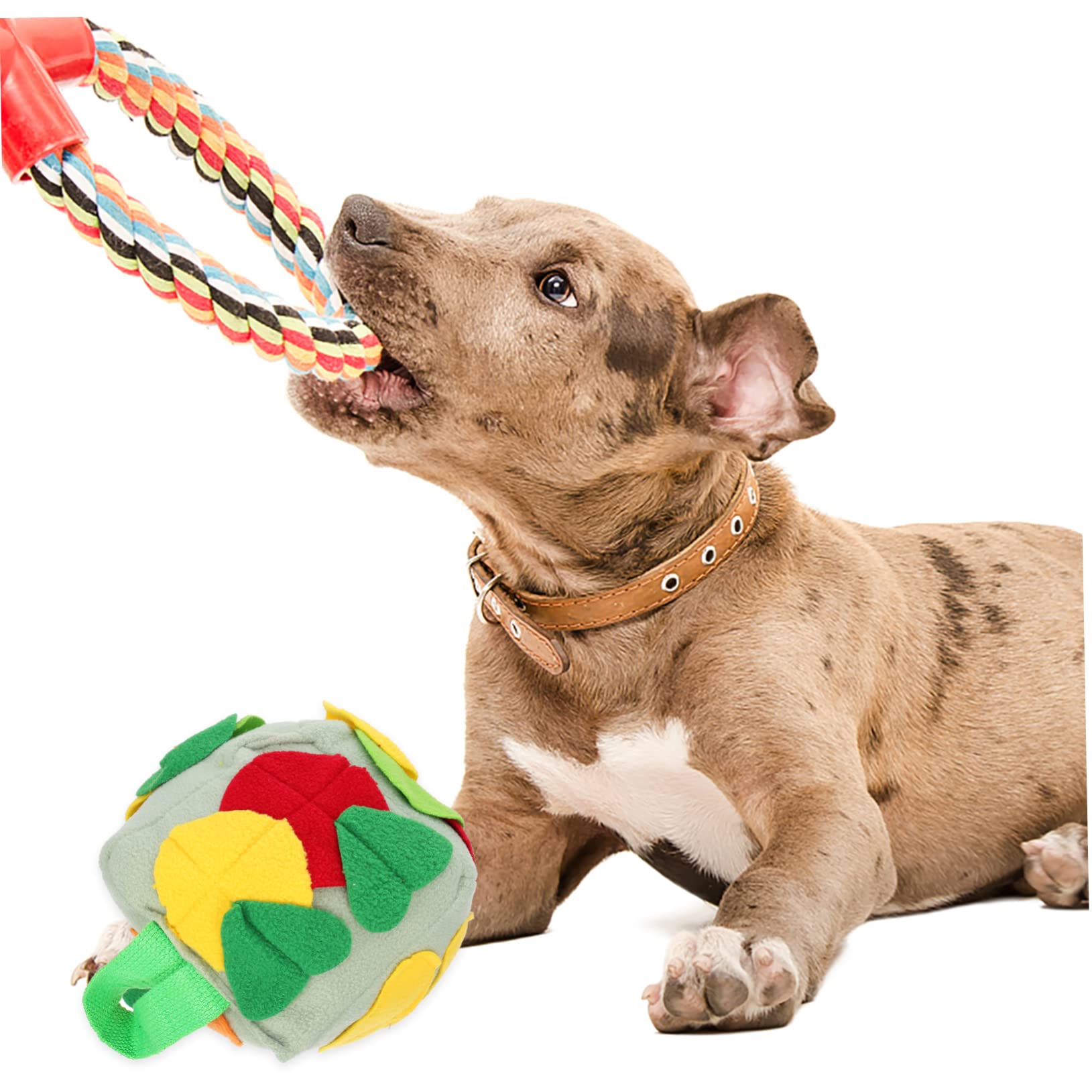 Housoutil 2stücke Hundeschnüffelball Für Interaktives Spielen Futterball Aus Weichem Atmungsaktivem Material Fördert Das Futterfinden Zahnpflege Für Kleine Bis Mittelgroße Hunde