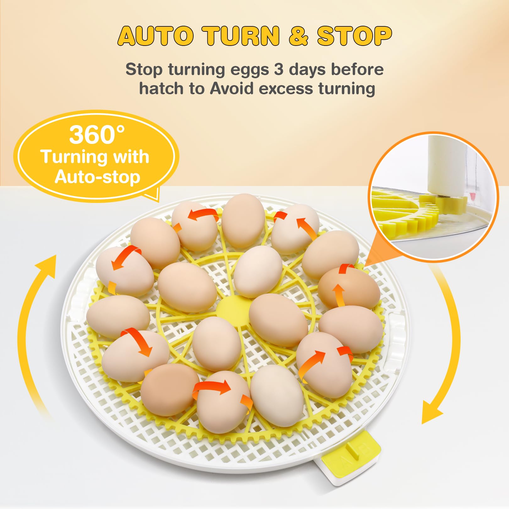 Sailnovo Incubadora Automática para 18 Huevos, Control de Temperatura y Automático de Humedad,Días de Eclosión,Rotación y Parada Automáticas, Vela de Huevo – Vista de 360° Incubadora (Amarillo)