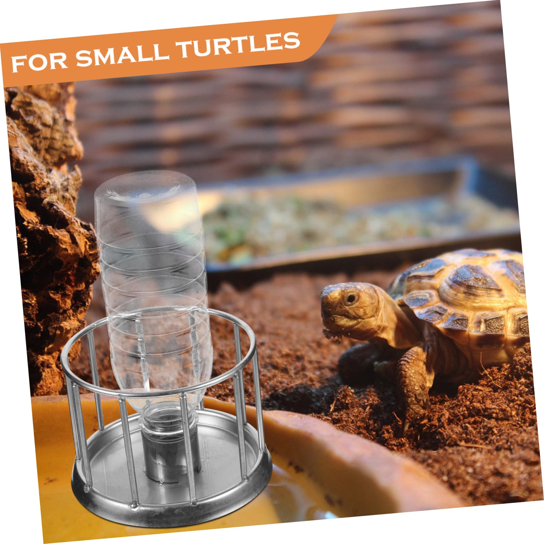 5pezzi Ciotola Multifunzionale per Tartarughe Inossidabile Dispenser per Rettili Accessorio Terrario e Versatile per Tartarughe e Lucertole