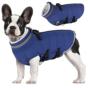 Mklhgty Large Dog Coat with Harness Built-in, Waterproof Reflective Fleece Lined - Warm Windproof Winter Jacket with Back Zipper, Cold Weather Snow Dog Coats - Blue - 2XL