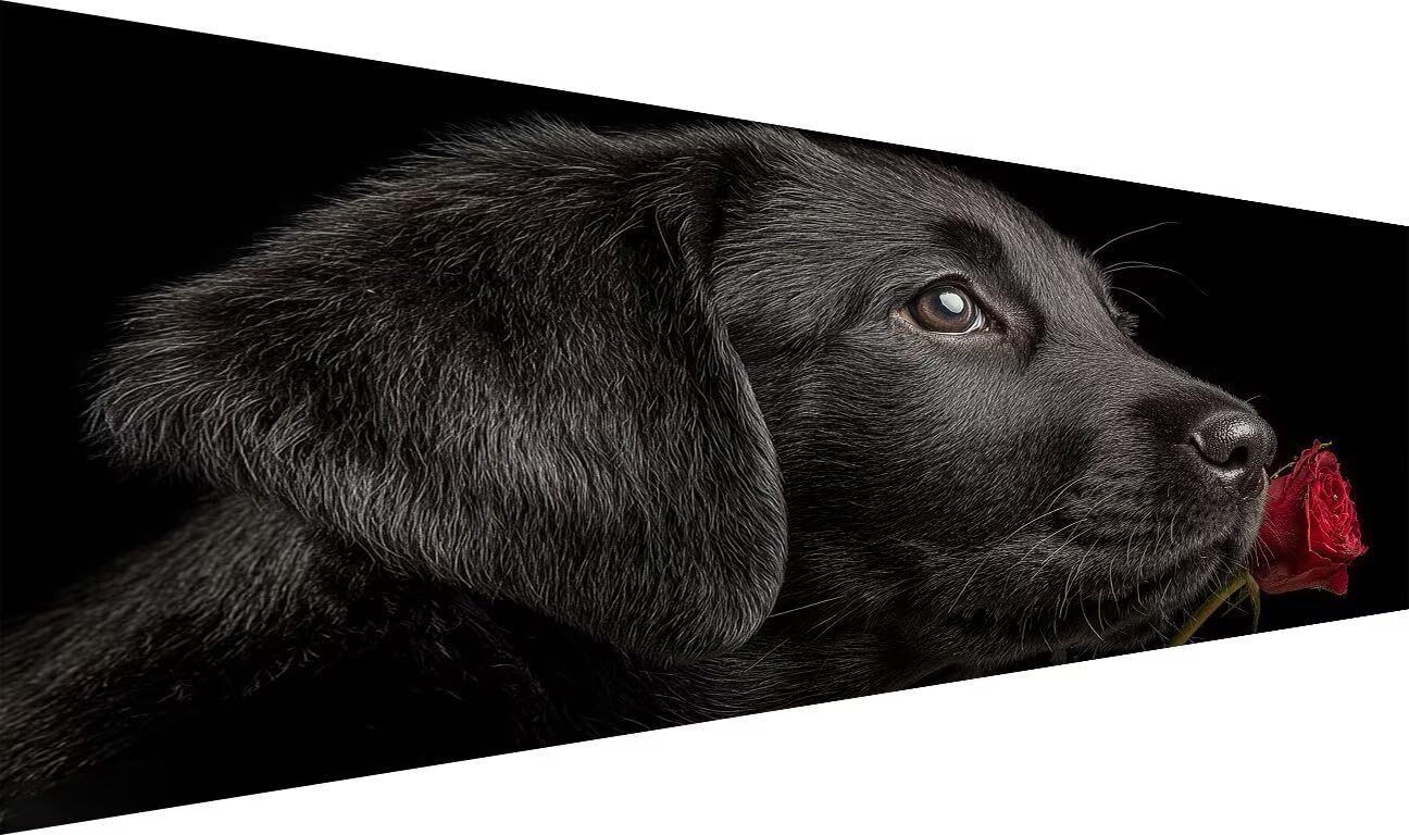 Malarstwo diamentowe dla dzieci, psa, obraz diamentowy, dla dorosłych, duży, XXL, 80 x 160 cm, 5D Full Drill czarny prezent urodzinowy dla dziewczynek, zestaw do tworzenia mozaiki, zestaw do dekoracji