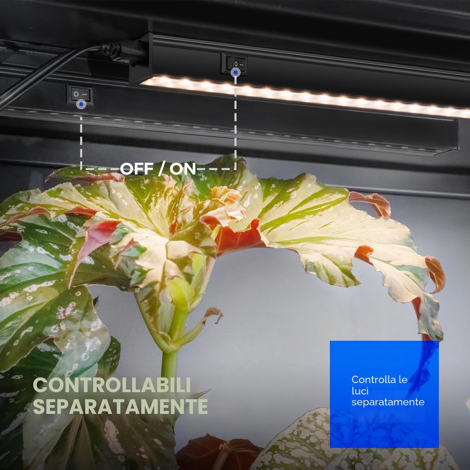 Barrina T5 LED Pflanzenwachstumslicht, 30 cm 3000 K Gelbes Pflanzenlicht, Vollspektrum-Wachstumsstreifen, 20 W (4 x 5 W), koppelbares Design, 4 pezzi