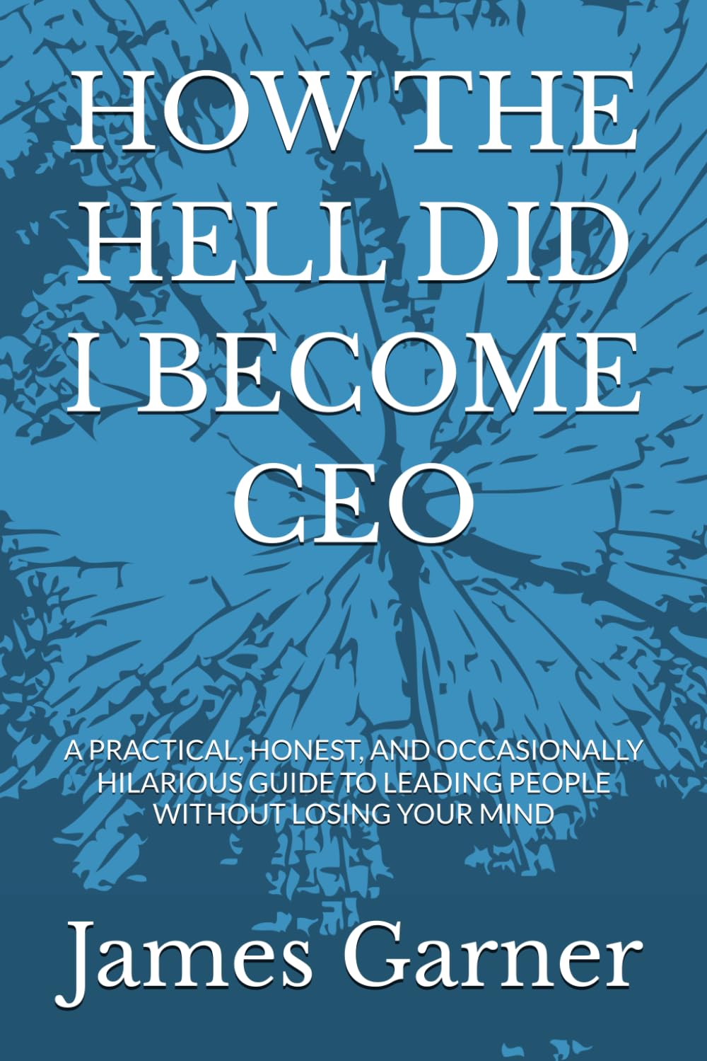 HOW THE HELL DID I BECOME CEO: A PRACTICAL, HONEST, AND OCCASIONALLY HILARIOUS GUIDE TO LEADING PEOPLE WITHOUT LOSING YOUR MIND