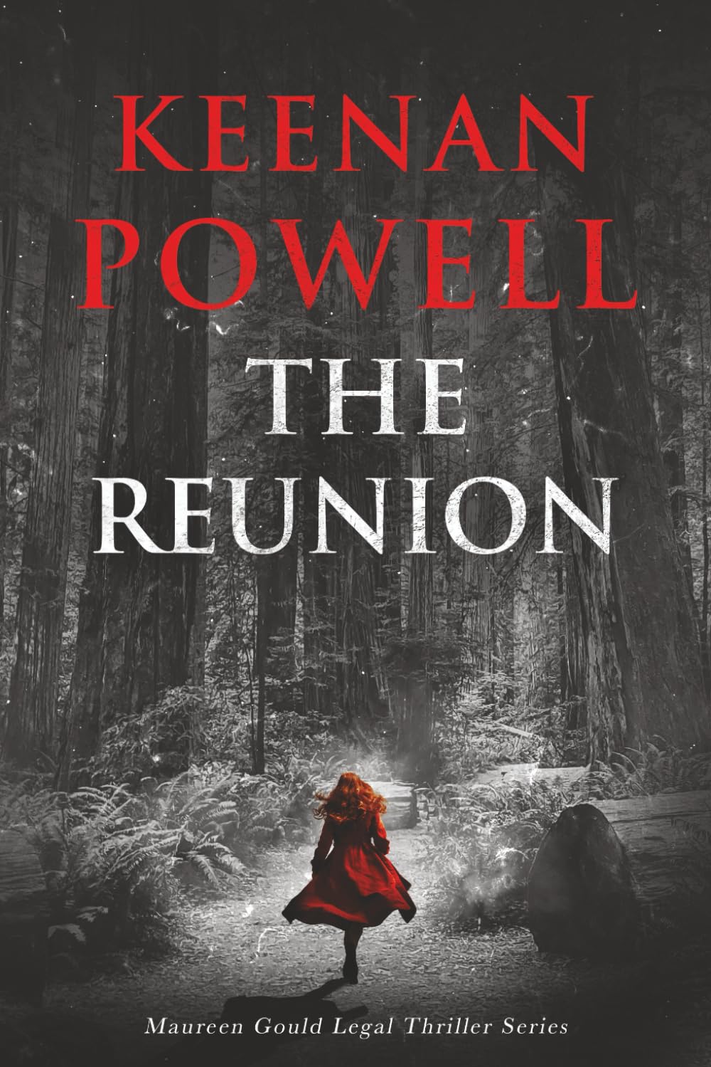 The Reunion: A Maureen Gould Legal Thriller