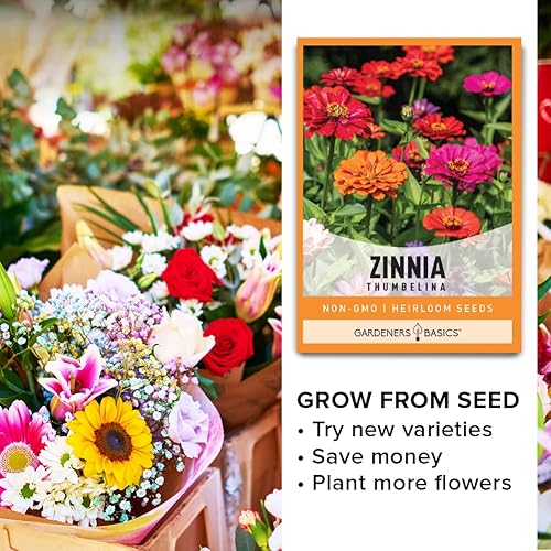 Miniatura 3 de Gardeners Basics Semillas de zinnia para plantar flores al aire libre (Thumbelina) - Paquete de semillas de flores reliquia anual, variedad sin OMG,