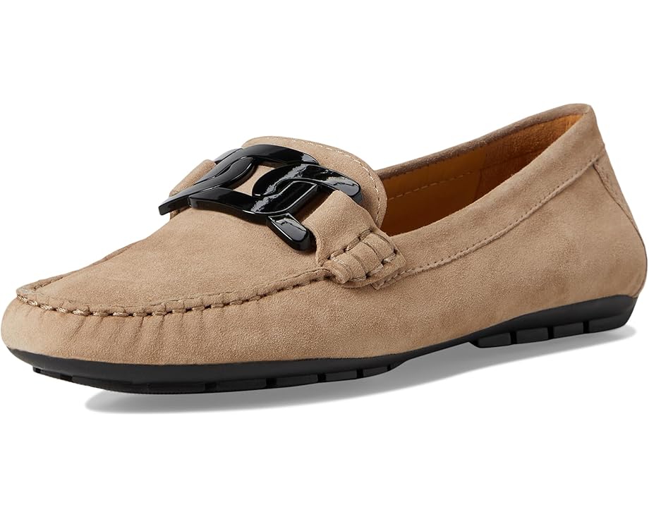 Vaneli Aiker - Front View