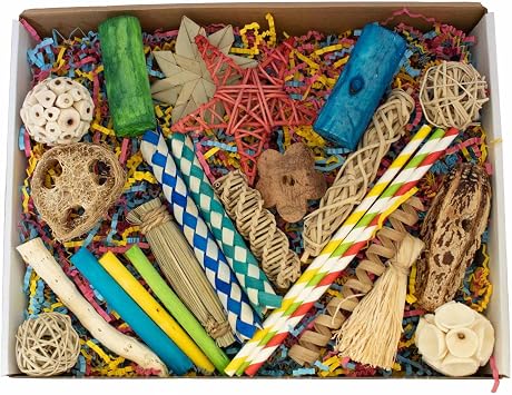Super Bird Creations SB1237 Foraging Fun Box Bird Toys - Activity Kit with 30+ Pieces Bird-Safe Toys - Enrichment Toys for Ringnecks, Medium Conures, Canary and Parrots - Ideal for Medium Bird Size