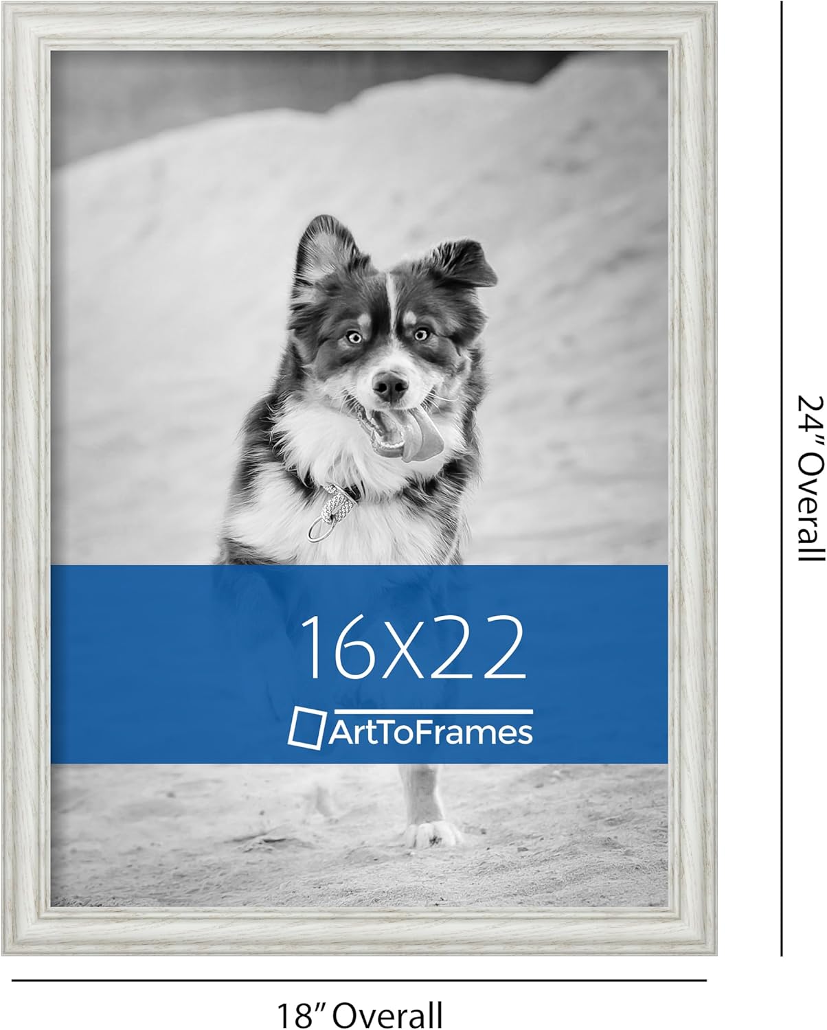 ArtToFrames 16x22 Ash Wood Off-White Wash Frame 3 71Xuvw6c7QL. AC SL1500