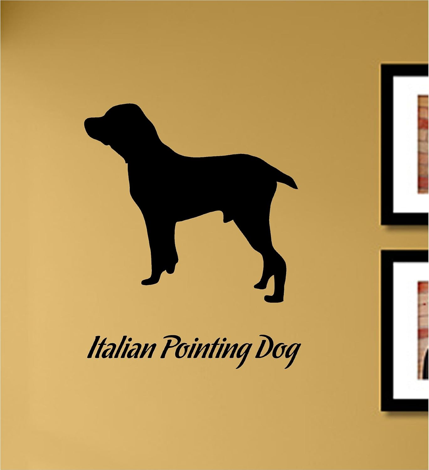 Italian pointing dog Vinyl Wall Decals Quotes Sayings Words