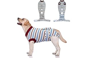 Dog Neuter Recovery Suit, Dog Surgery Recovery Suit for Male Dogs, Professional...