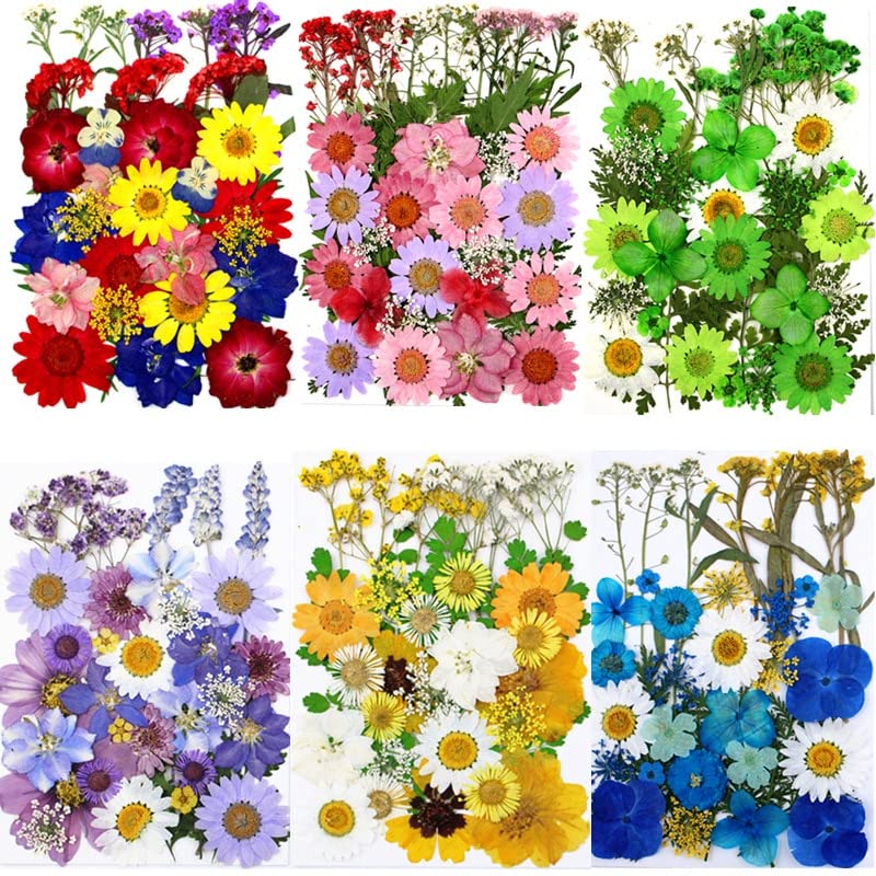 1 bolsa de adhesivos de flores secas prensadas miniatura 2