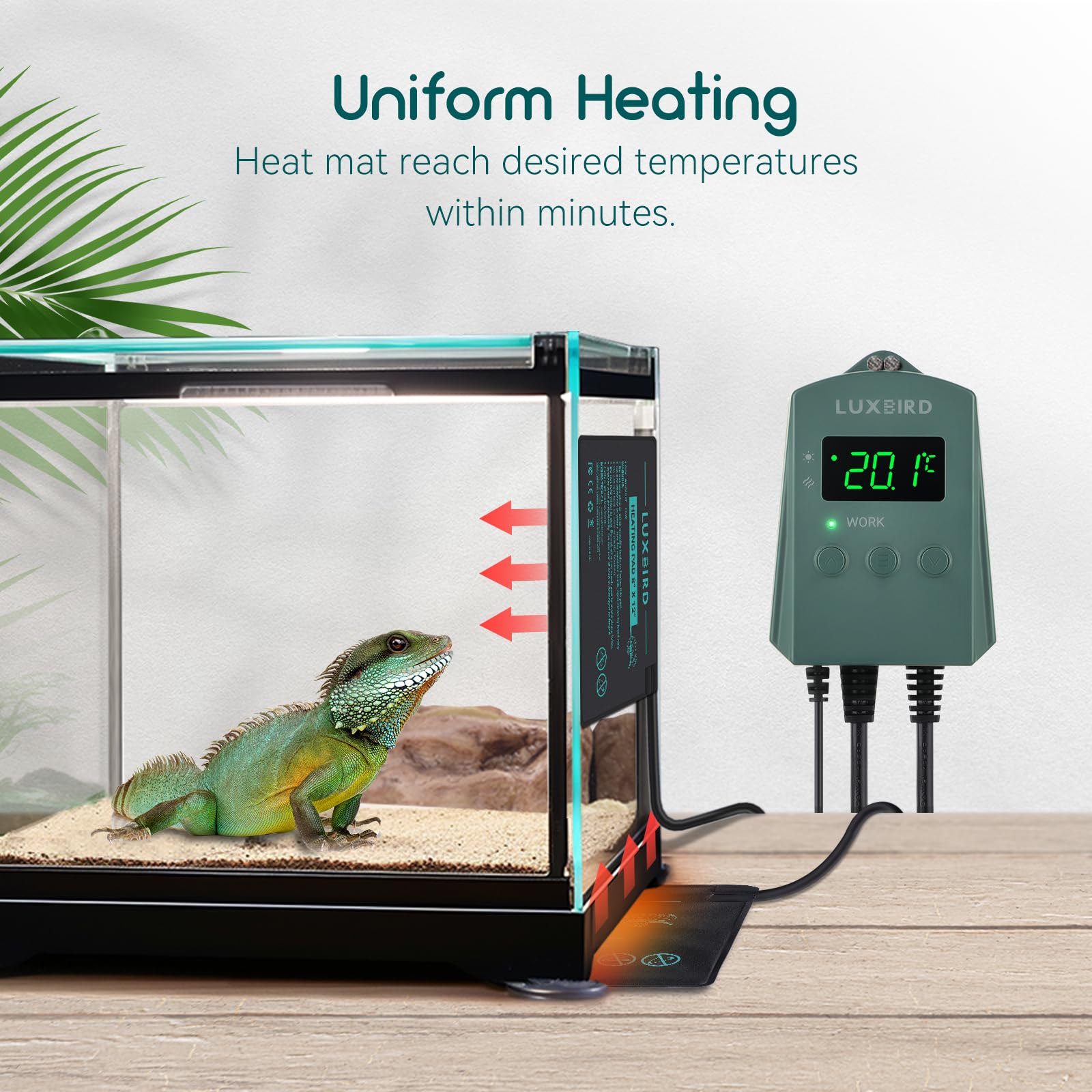 Luxbird Terrarium Heizmatte mit Thermostatregler, Klebendes Reptil Heizmatten mit Temperaturregelung für Reptilien Schildkröten Schlangen