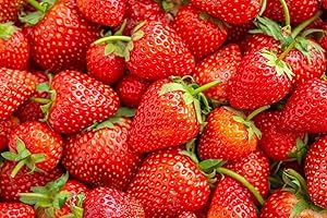 Strawberry Seeds for Planting Indoors - Blue Raspberry 100