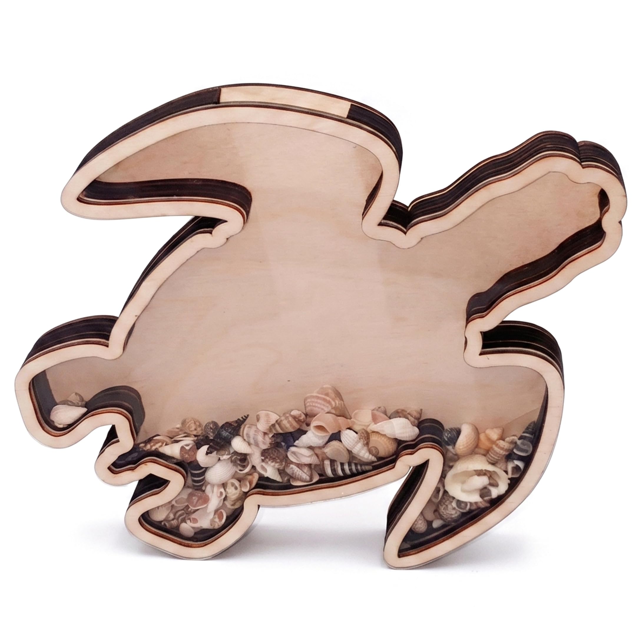 Ameble Wooden Turtle Box Seashell Display Case & Desktop Storage Holder Wood Decorative Organiser