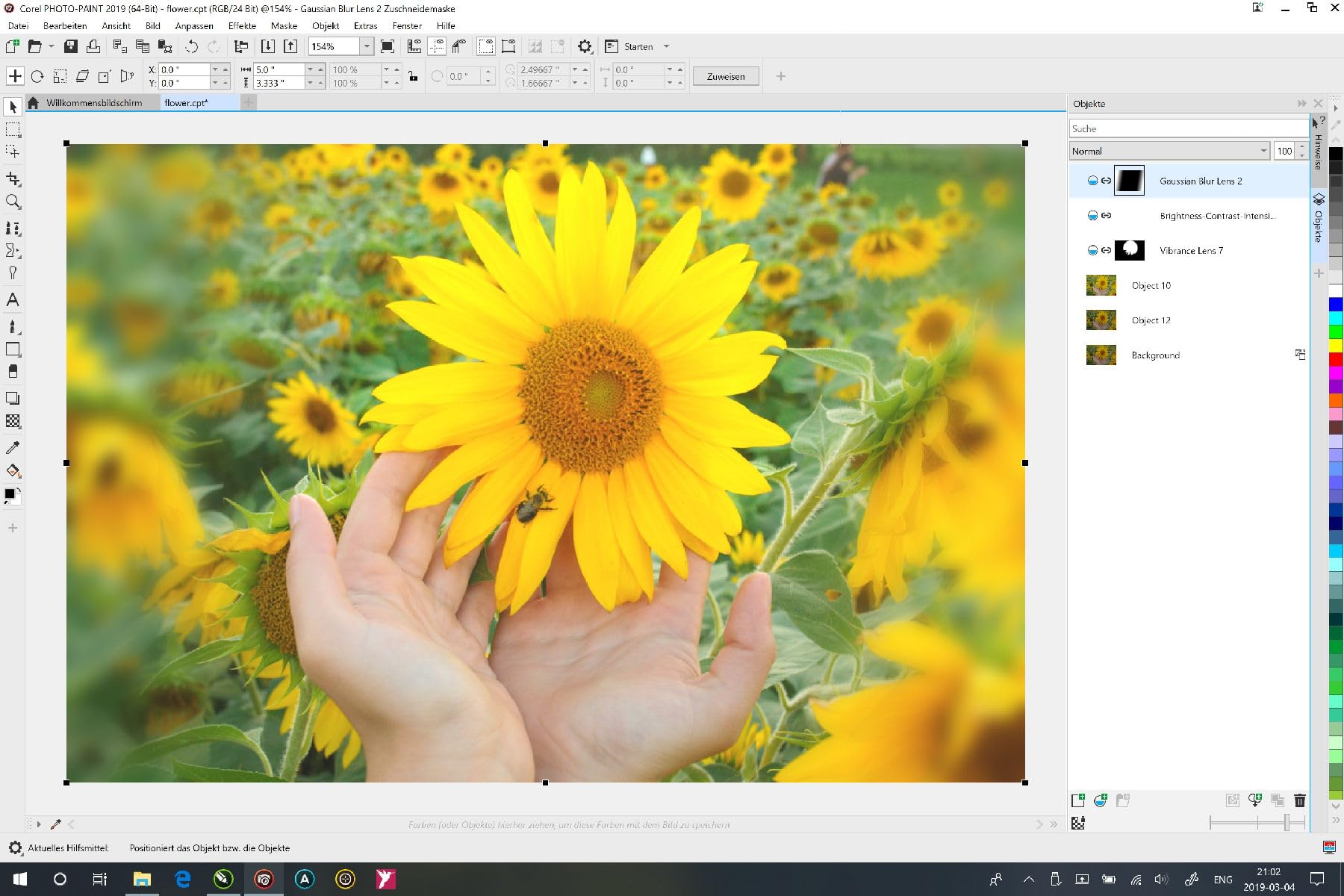 CorelDRAW Graphics Suite 2019 für Windows