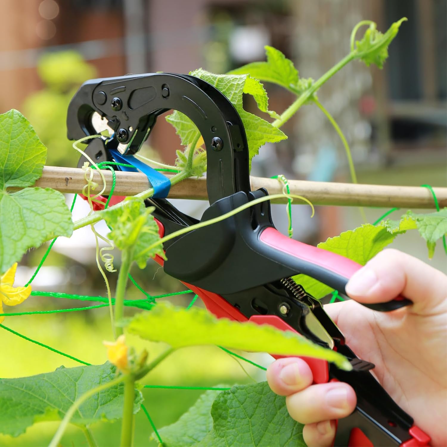 Plant Tapener Tying Tool for Plant Support, Trellis for Grapes, Tomatoes, Vines & Flowers | Kit Includes 10 Tapes & 1 Box of 10,000 Staples image 2