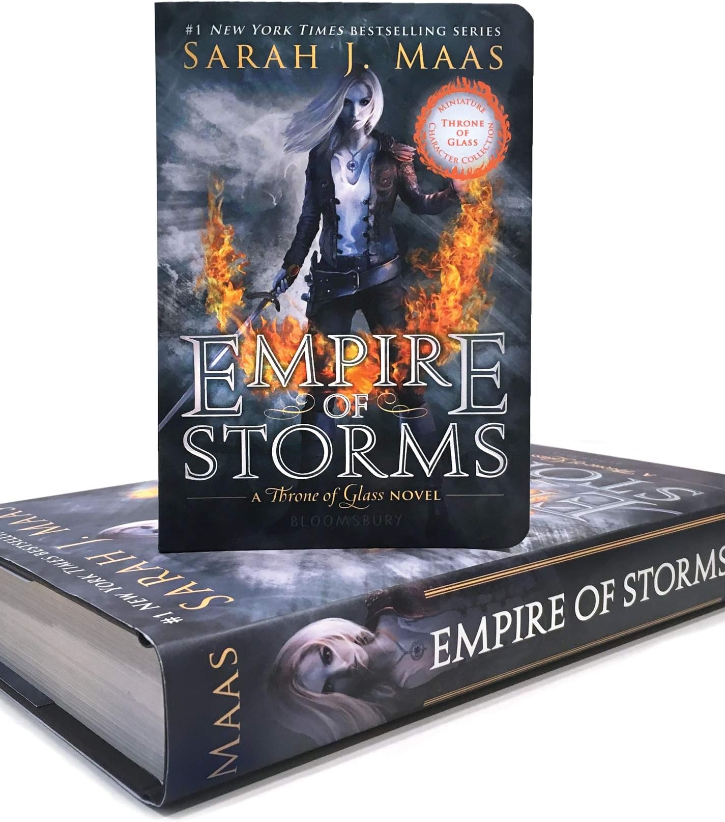 Empire of Storms (Miniature Character Collection) (Throne of Glass)