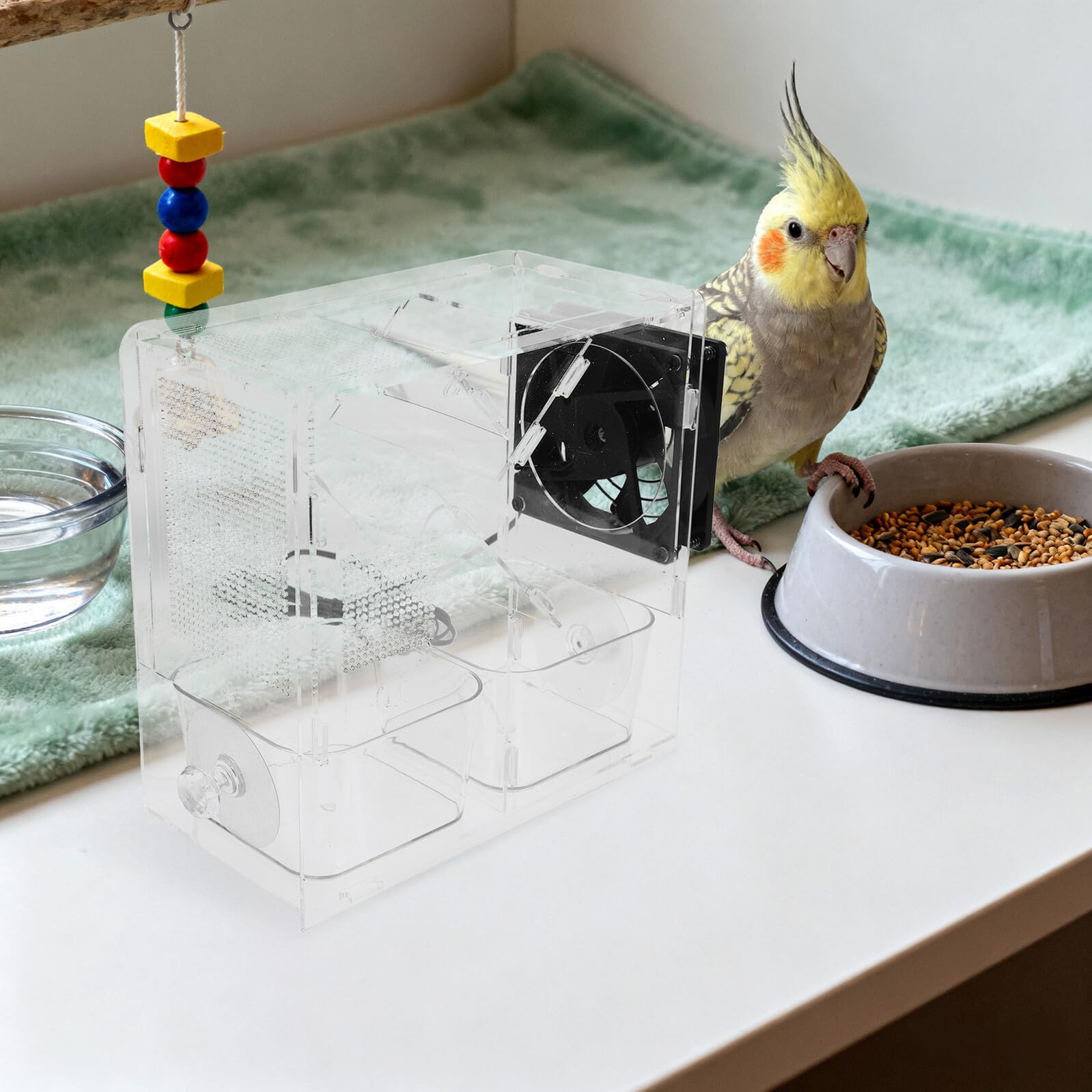 Toyvian Séparateur de Graines pour Oiseaux 1 Set Structure de Vannage