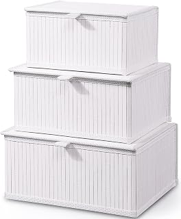 Honygebia Bamboo Decorative Storage Boxes - Set of 3 Woven Lined Storage Basket with Lids, White Wicker Lidded Baskets for Home Kitchen Shelf Organizer Decor