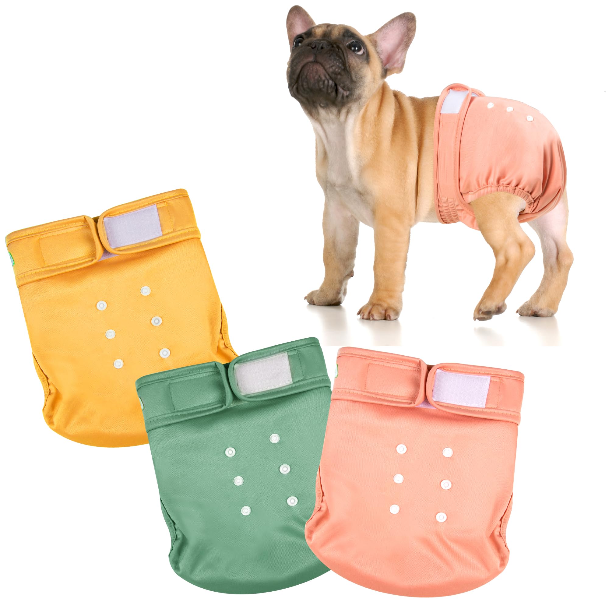 wegreeco Frenchie Dog Diapers Female No Tail Hole,Washable Pet French Puppy Bulldog Diapers Female for Period Heat,Reusable Doggy Doggie Dog Diapers （Morandi-HLF Small）