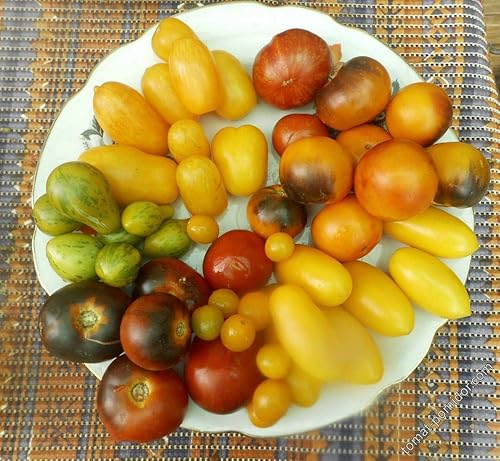 Miniatura 2 de Semillas de tomate Caleidoscopio Mix (de pequeño a gigante) Vegetales tradicionales para plantar sin OMG