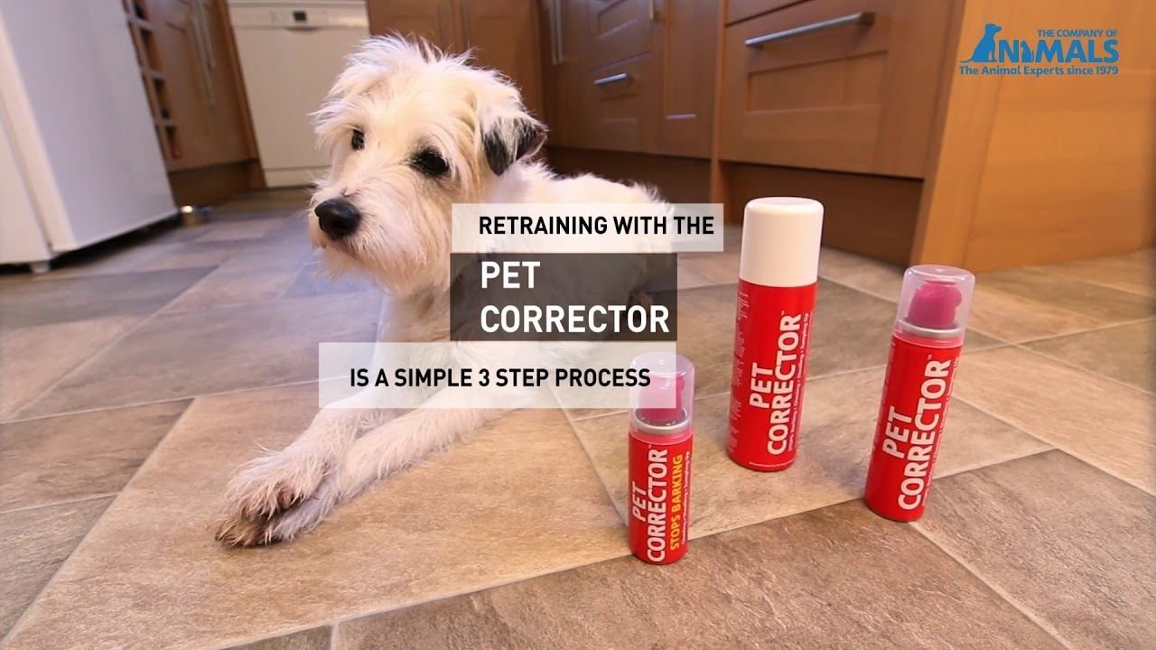 The Company Of Animals - Pet Corrector - Sifflement pour Interrompre les Comportements Indésirables de votre Animal de Compagnie - 200 ml