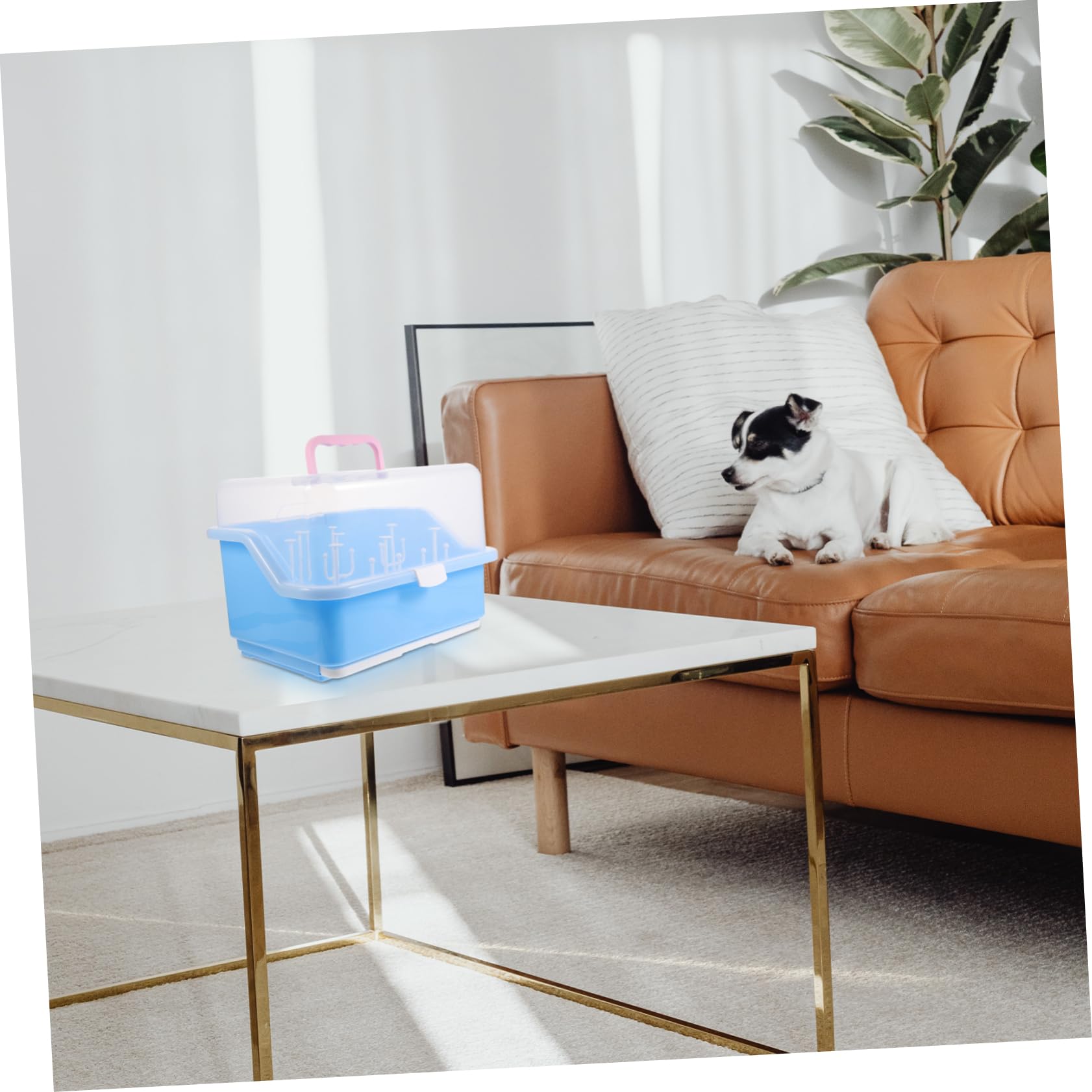 Boîte De Rangement pour Biberons Support De Séchage Plastique avec Couvercle Organisateur Pratique pour Biberons Et Vaisselle Design Portable avec Poignée Matériau Couleur