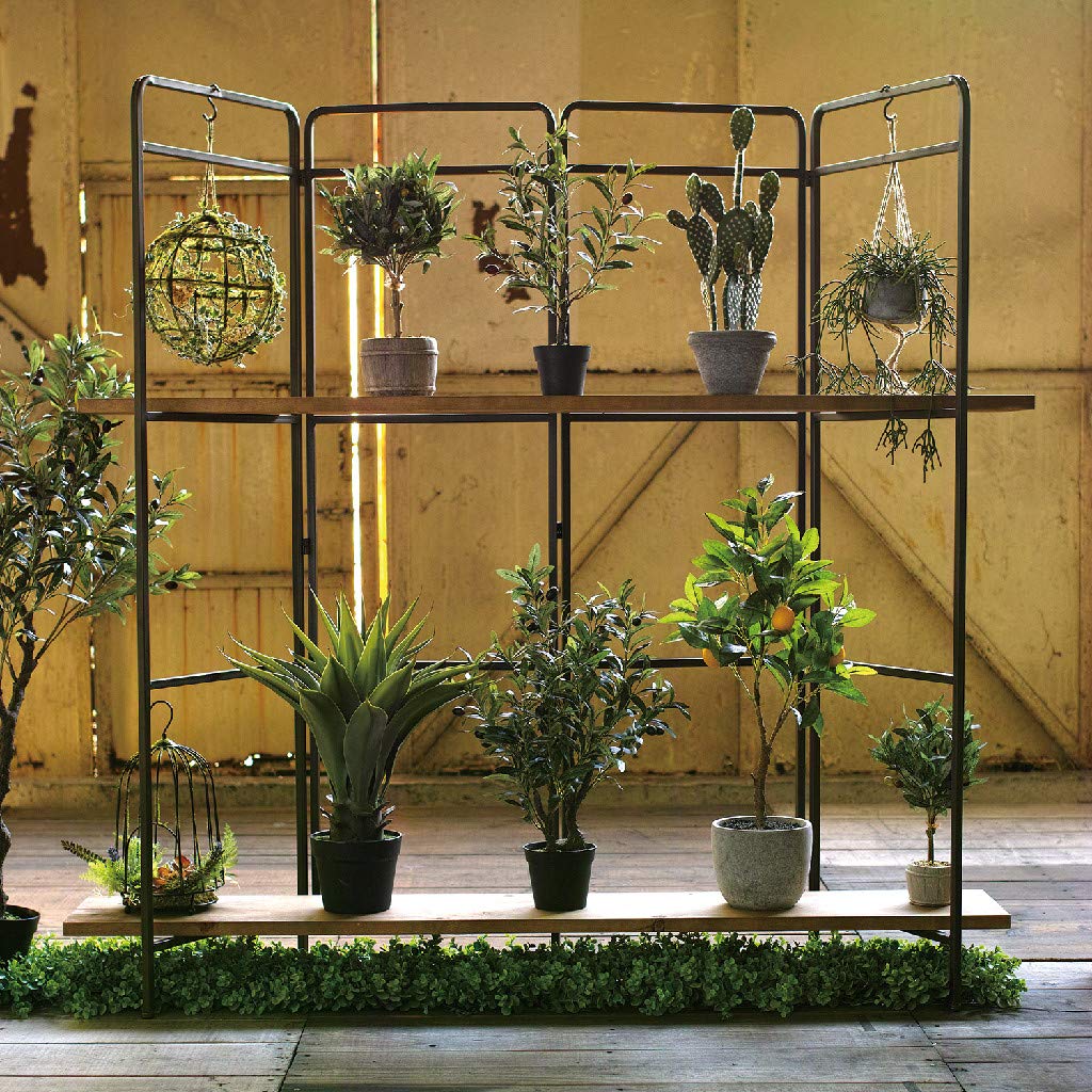 専用バードケージアレンジ フェイクグリーン Amazon.co.jp: SPICE OF LIFE(スパイス) フェイクグリーン