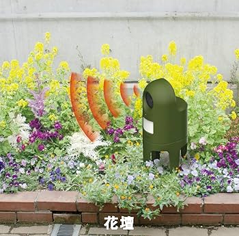 猫むさし むさしのVLOG動画を作ってみました☺️ ※ただVLOGって言いたかっ