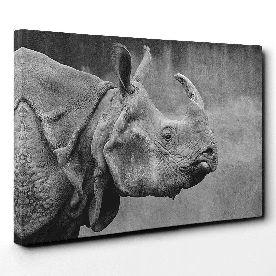Rhino Canvas Print | Gallery Wrapped 30mm Frame Wall Art | 30x20 inches | Ready to Hang | Modern Picture | Living Room Bedroom Lounge Office