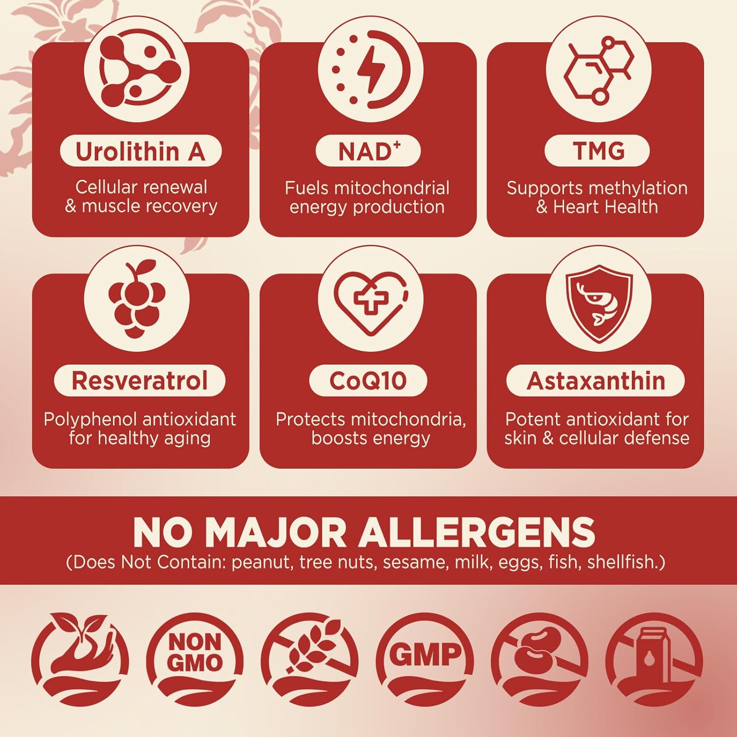 Urolithin A Supplement Gummies, 1000mg Liposomal Urolithin A+ Supplement for Mitochondrial Support, with NAD+, TMG for Healthy Aging, Cellular Renewal, Muscle Strength & Longevity, Vegan, 60 CT - Image 3