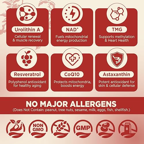 Miniatura 3 de Gomitas de suplemento de urolitina A, suplemento liposomal de urolitina A+ para apoyo mitocondrial, con NAD +, TMG para un envejecimiento saludable,