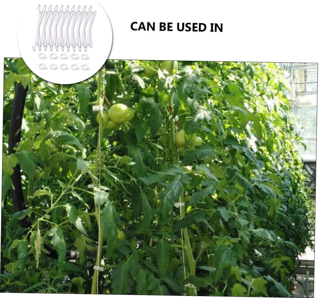 BESPORTBLE 2sets Tomato Support Stakes Hooks Vine Support Cages for Tomato Plant Trellis Greenhouse Vegetable Garden Clips