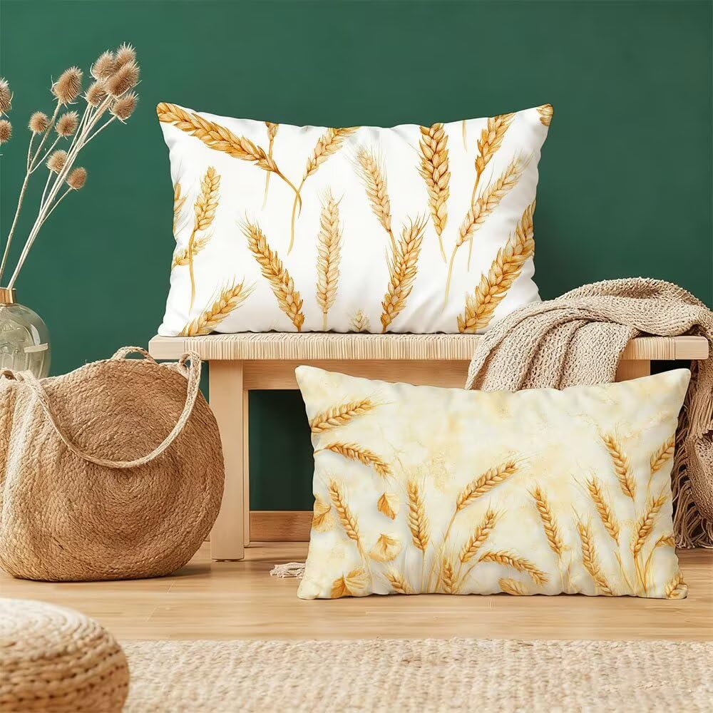 Taie d'oreiller 40x80cm lot de 2 blanc velours pour décoration lit