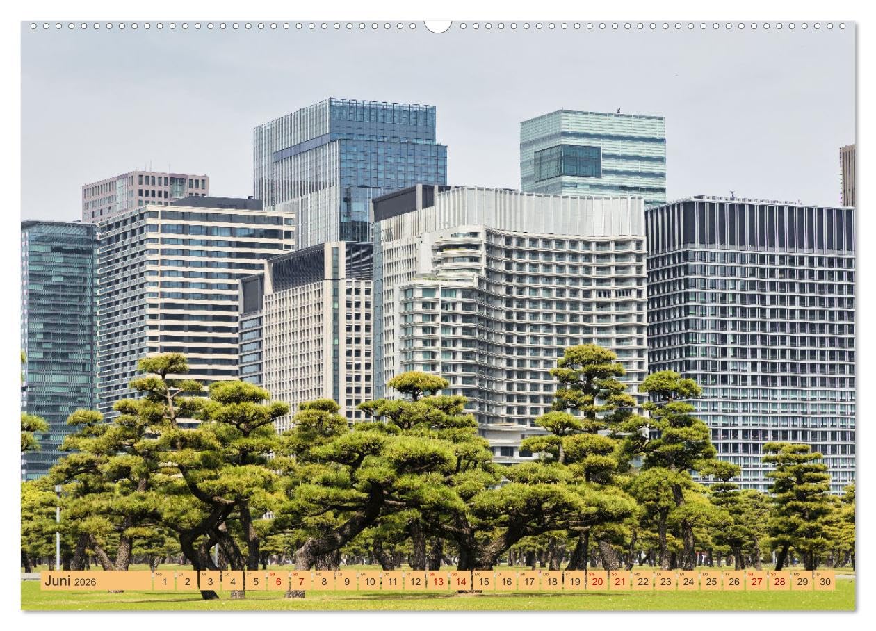 Impressionen aus Tokio, der Megastadt im Land der aufgehenden Sonne (hochwertiger Premium Wandkalender 2026 DIN A2 quer), Kunstdruck in Hochglanz: ... durch Japans Hauptstadt Tokio (CALVENDO Orte)