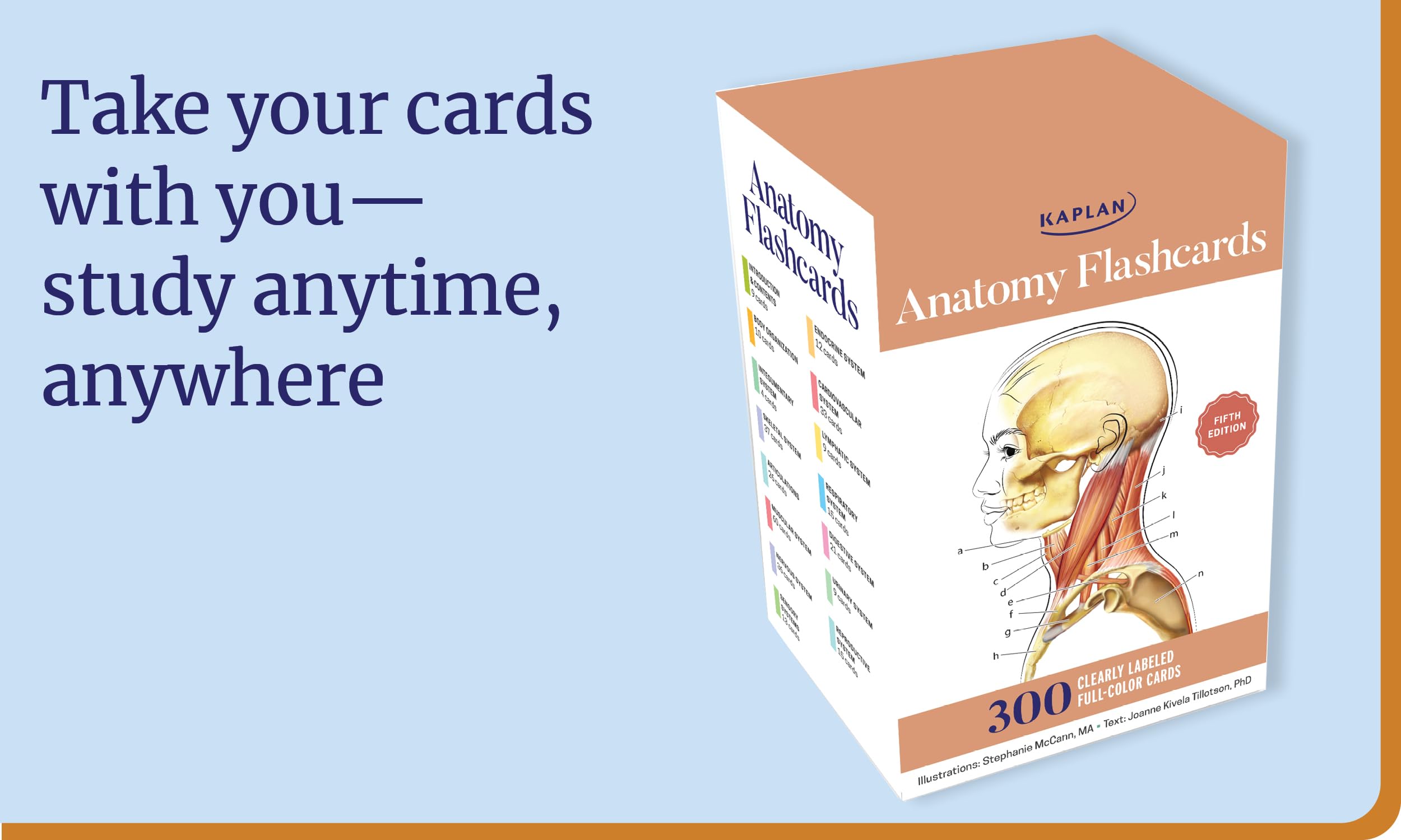Anatomy Flashcards: 300 Flashcards with Anatomically Precise Drawings and Exhaustive Descriptions: 300 Clearly Labeled Full-Color Cards