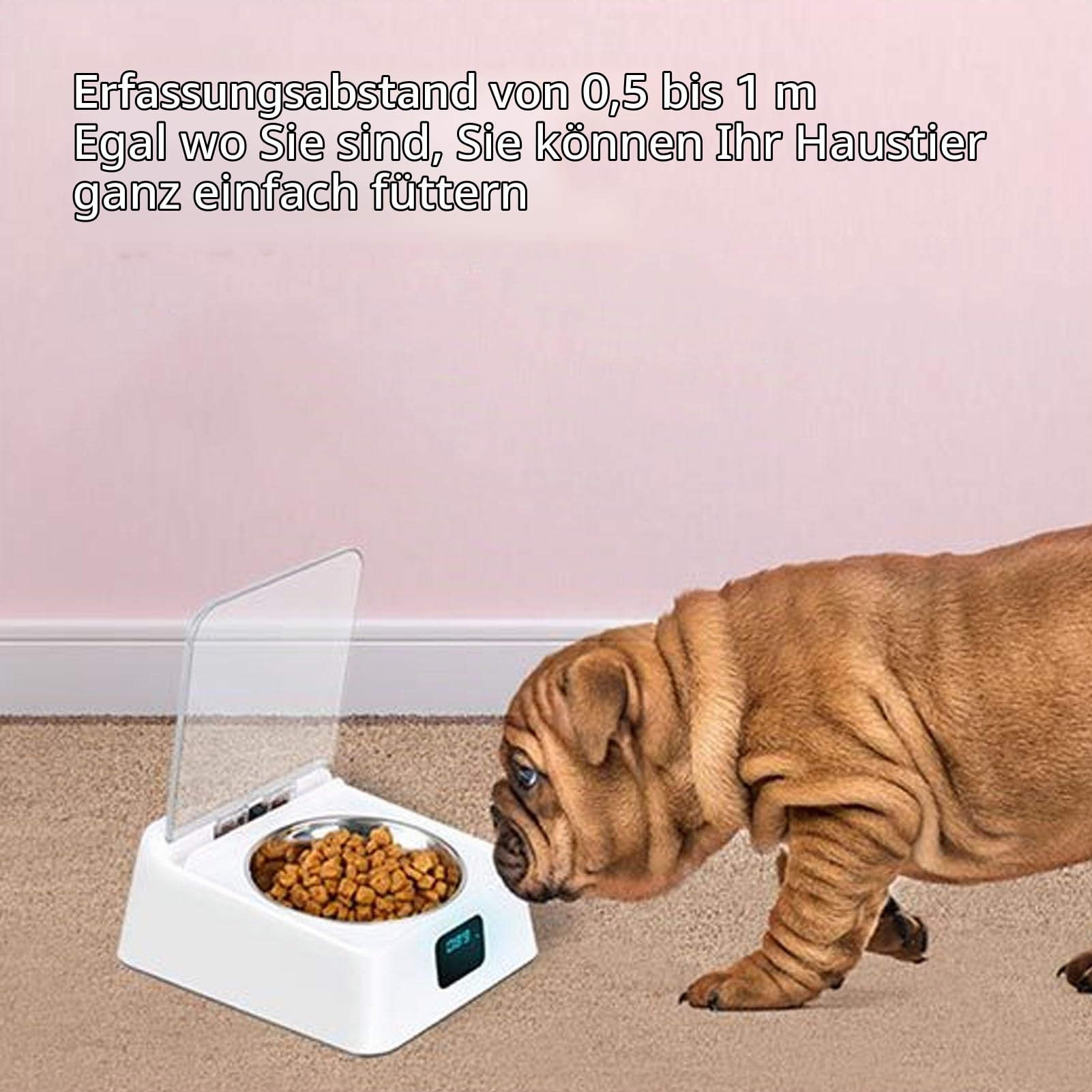 Syrisora ​​Pet Smart Feeder, Induktionsdeckelöffnung, Wiederaufladbarer Futternapf Hunde und Katzen, Kleine und Mittelgroße Haustiere, 350 Ml