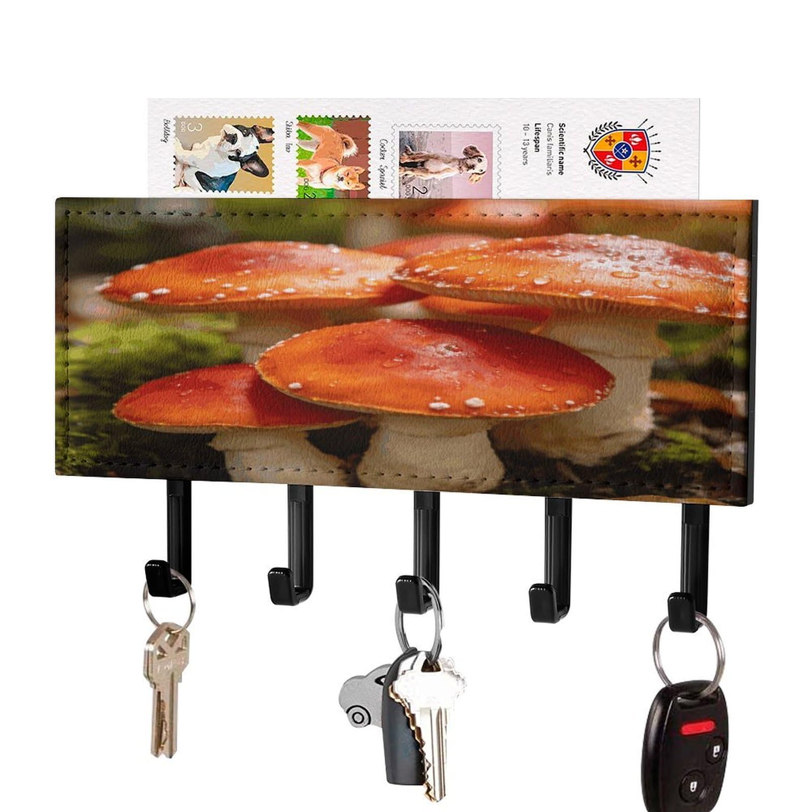 Soporte para llaves de pared adhesivo que elimina el desorden del pasillo