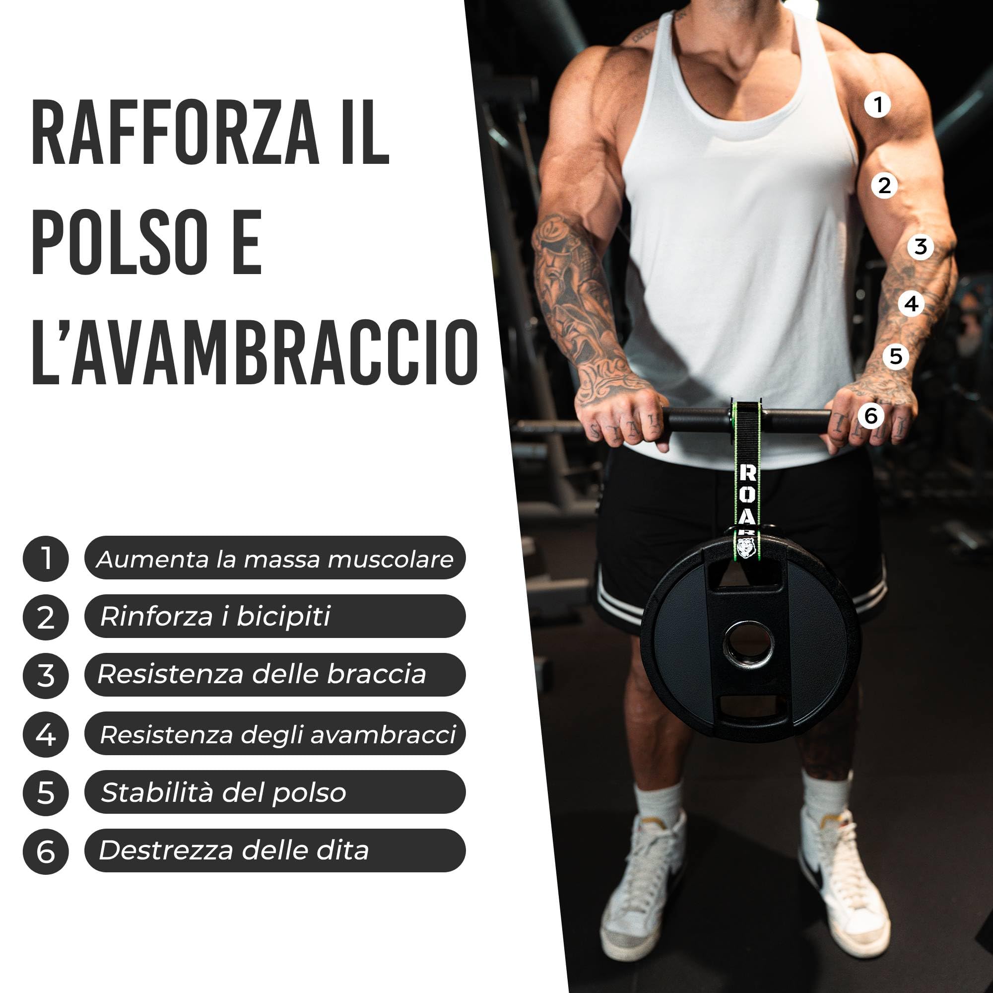 Roar® Rullo per Avambraccio, Rullo da Polso per Avambraccio, Allenamento Avambraccio, Forearm Trainer, Avambracci Attrezzi, Arm Blaster