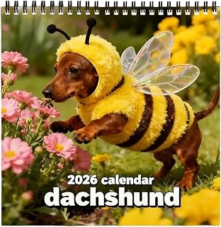 2026 ダックスフントカレンダー 12か月スケジュールプランナー 吊り下げ可能な動物カレンダー 自宅 学校 寝室 勉強 教室 オフィス 学生 教師 コンサルタント フリーランサー 寮用
