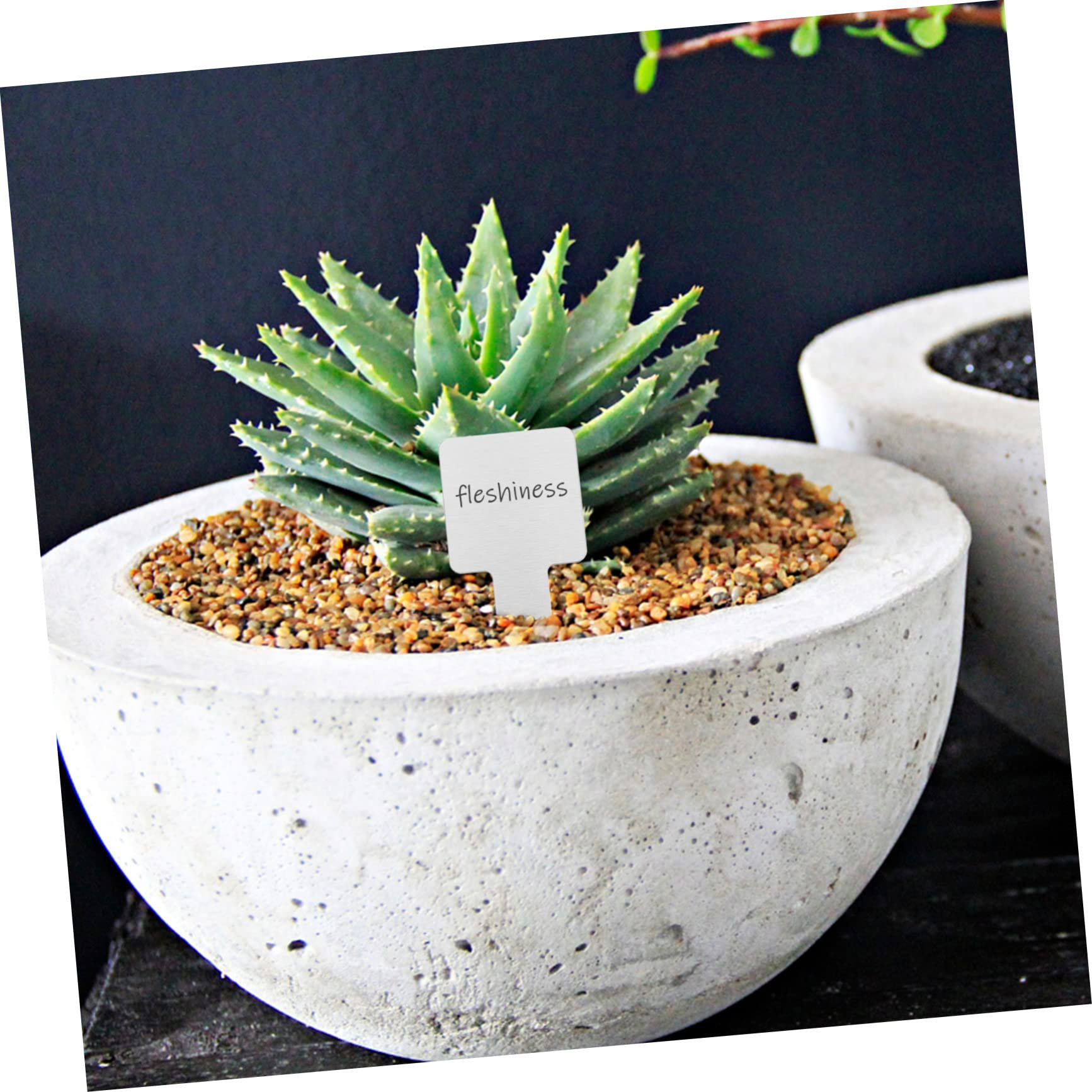 YARNOW 50pezzi Etichettatura Piante Acciaio Inossidabile Da Resistente e Riutilizzabile Per Giardinaggio e Decorazione Esterna Facile Da Scrivere e Installare