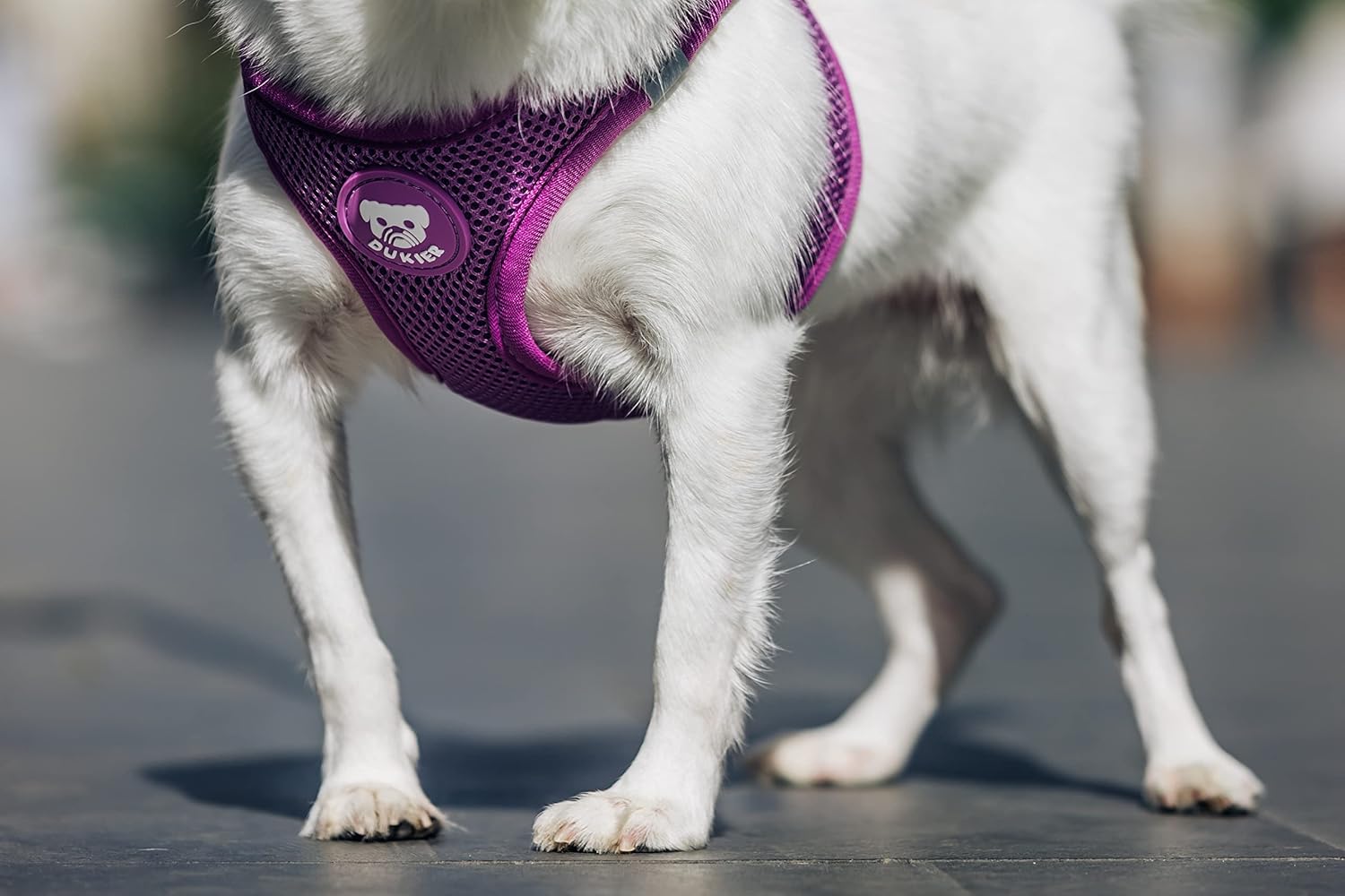 DUKIER - Dog Body Harness, Anti-Pull Body Vest, Adjustable and Heavy Duty for Pets, Breathable Mesh, Pet Accessory with Velcro and Double Closure, Purple, XS 5