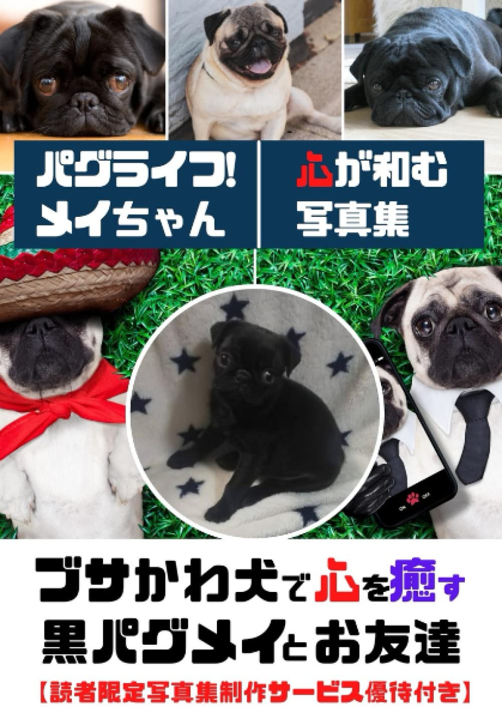 パグライフ メイちゃん ブサかわ犬で心を癒す 黒パグメイとお友達 写真集 動物 ブサかわ Pug パグ好きクリエーター Daigo 本 通販 Amazon パグライフ メイちゃん ブサかわ犬で心を癒す 黒パグメイとお友達 写真集 動物 ブサかわ Pug パグ好きクリエーター Daigo 本 通販 Amazon