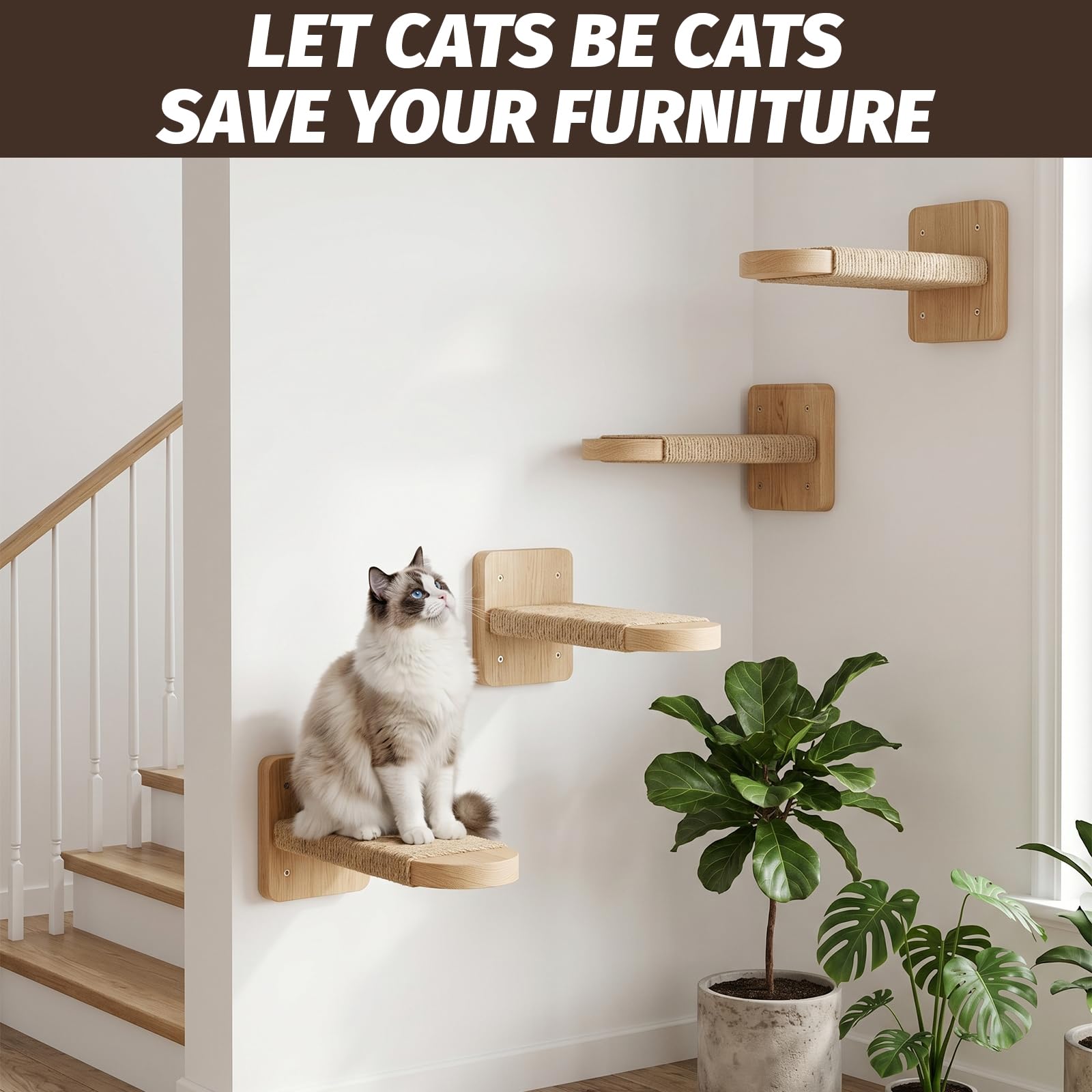 Katzentreppe Wand: 4 Stück Massives Gummibaumholz Katzen Kletterwand mit Jute-Seilen zum Kratzen Geeignet zum Klettern, Ausruhen und Kratzen für Katzen