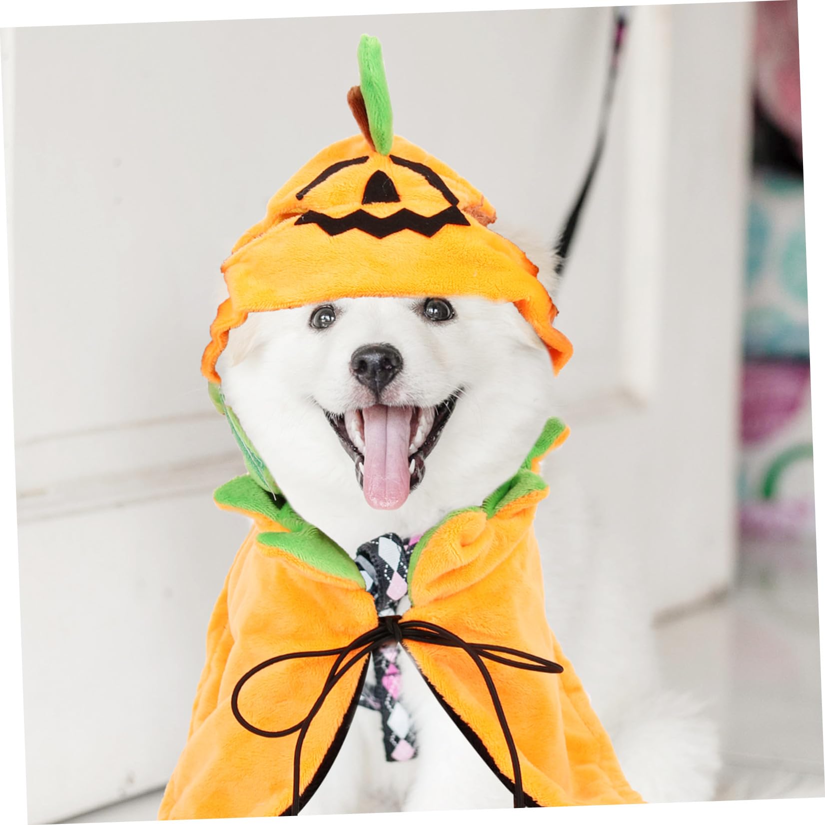 SUPVOX 3 Set Mantello Per Animali Domestici Abbigliamento Per Cani Di Halloween Costume Da Cucciolo Di Zucca Criniera Di Cane Costume Cosplay Per Animali Domestici Prop Peluche