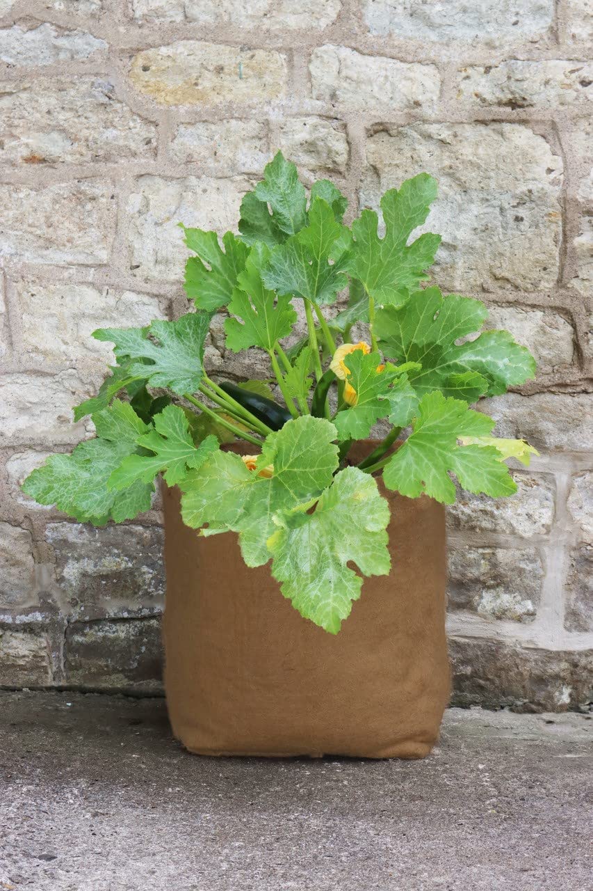 Haxnicks Maceta de cáñamo | 40L | HEMP040101, marrón