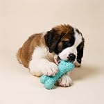 Playology Dog Toys | Puppy Toy Teething Bone Designed for Young & Active Dogs | Jumbo Peanut Butter Scented Toy Made from Non Toxic Materials