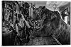 David Yarrow Bear Art Photography Black And White Poster 1 Canvas Wall Art Poster Print Picture Paintings for Living Room Bedroom Office Decoration, Canvas Poster Art Gift for Family Friends.18x12in