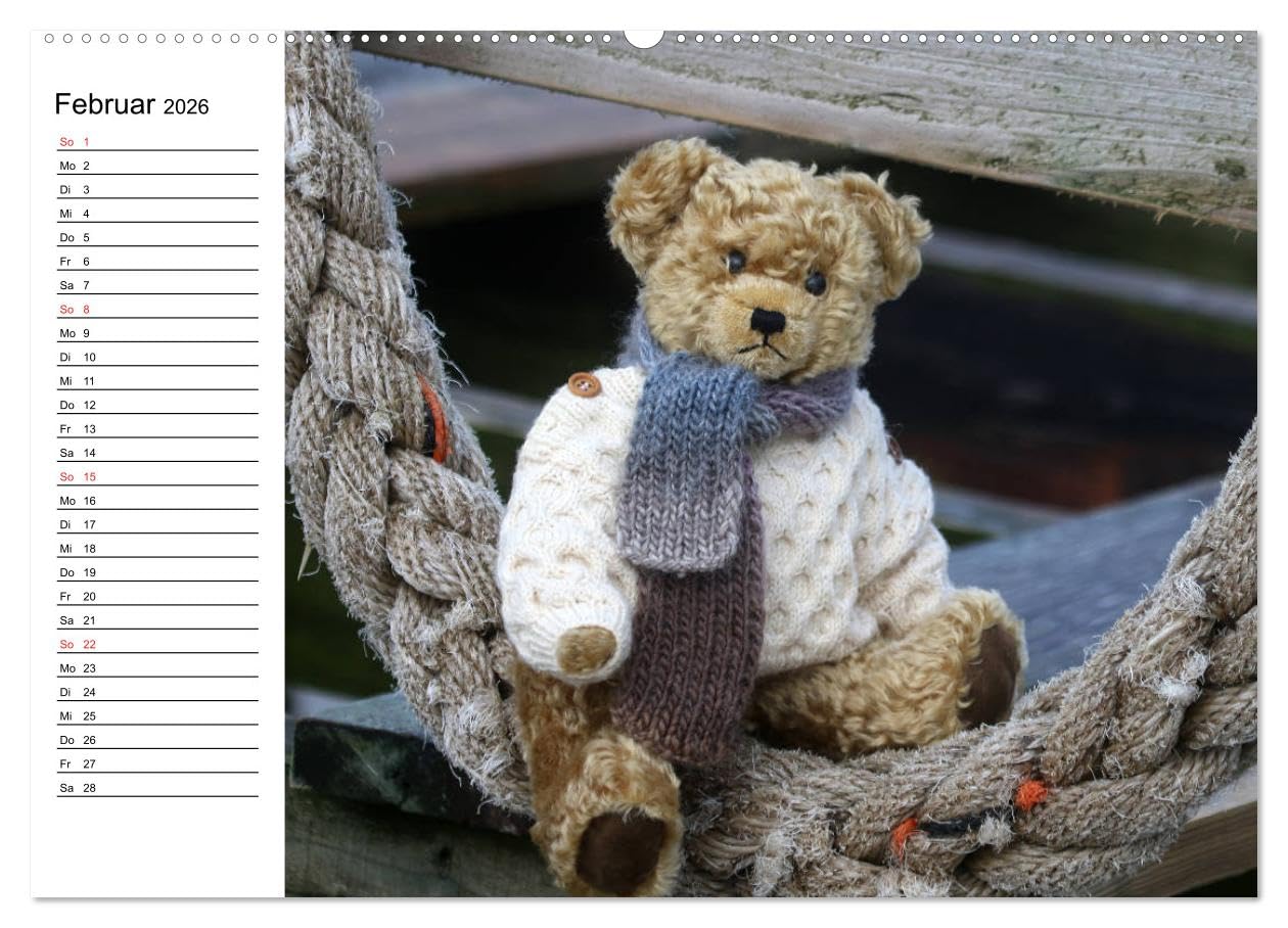 Teddy unterwegs (hochwertiger Premium Wandkalender 2026 DIN A2 quer), Kunstdruck in Hochglanz: Ein Teddykalender für die ganze Familie (CALVENDO Spass)