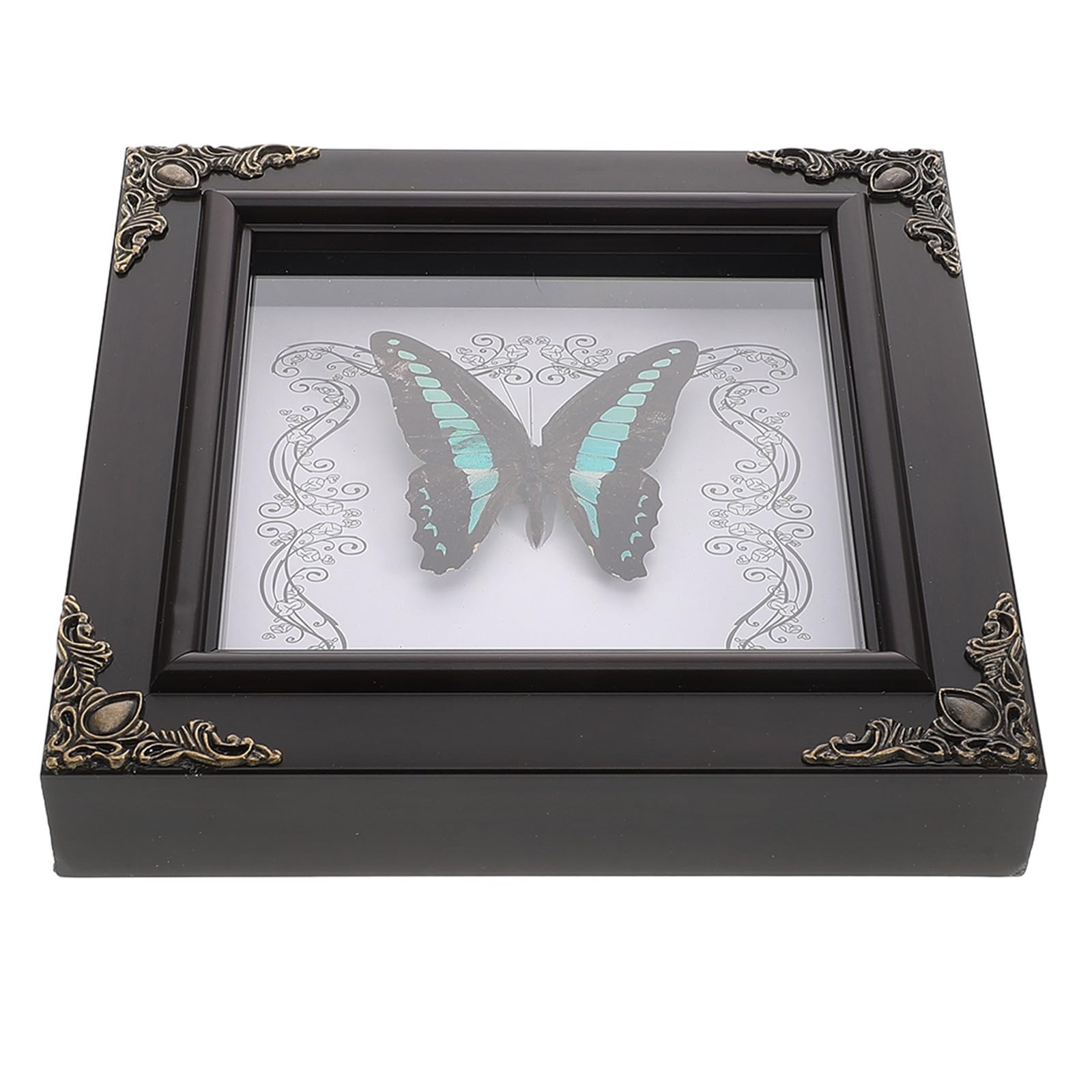 Mariposas reales en cuadro europeo vintage para llenar de vida e historia tu hogar